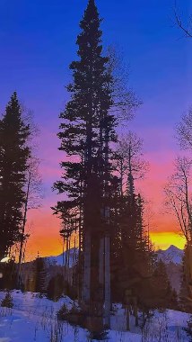 Vivid pink and orange sunset behind silhouetted pines, seen from a window